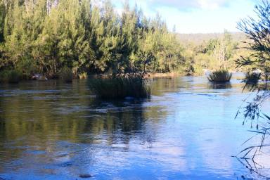 Lifestyle For Sale - NSW - Rocky River - 2372 - ISLAND MAGIC  (Image 2)