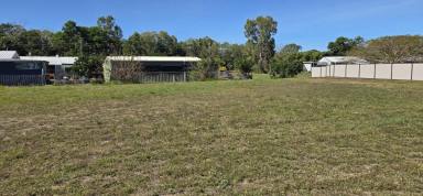 Residential Block For Sale - QLD - Forrest Beach - 4850 - 932 SQ.M. (JUST UNDER 1/4 ACRE) BLOCK AT END OF COURT!  (Image 2)