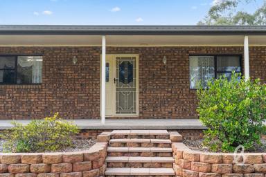 House Sold - NSW - Singleton - 2330 - Family Living on 5.9 acres at The Retreat  (Image 2)
