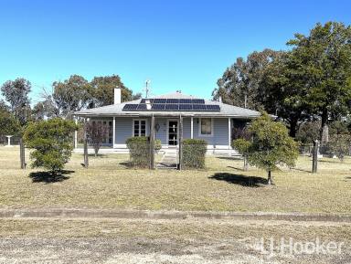 House For Sale - NSW - Ashford - 2361 - Tidy Cottage in Rural Village  (Image 2)