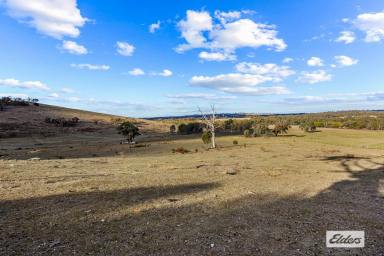 Other (Rural) For Sale - VIC - Stuart Mill - 3477 - 232 Acre Grazing or Lifestyle Property  (Image 2)