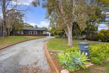House For Sale - NSW - Temora - 2666 - ELEVATED - STYLISH - AFFORDABLE  (Image 2)