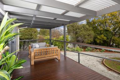 House For Sale - NSW - Temora - 2666 - ELEVATED - STYLISH - AFFORDABLE  (Image 2)