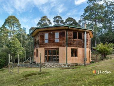 House For Sale - TAS - Cethana - 7306 - A Wilderness Retreat with Incredible Mountain Views  (Image 2)