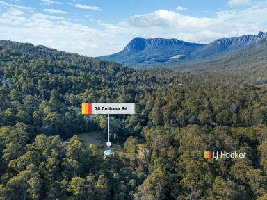 House For Sale - TAS - Cethana - 7306 - A Wilderness Retreat with Incredible Mountain Views  (Image 2)