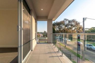 House For Lease - SA - Campbelltown - 5074 - Luxury on Ambrose Avenue  (Image 2)