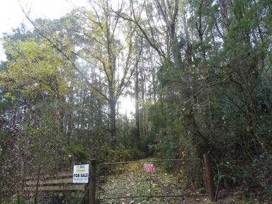 Farmlet For Sale - VIC - Barramunga - 3249 - Private Seclusion a Place to get away  (Image 2)