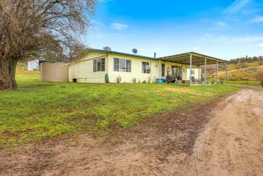 Lifestyle For Sale - NSW - Walcha - 2354 - IDYLLIC LIFESTYLE PROPERTY WITH QUALITY EQUINE FACILITIES  (Image 2)