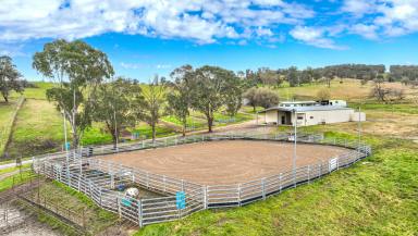 Lifestyle For Sale - NSW - Walcha - 2354 - IDYLLIC LIFESTYLE PROPERTY WITH QUALITY EQUINE FACILITIES  (Image 2)