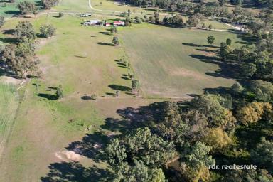 Lifestyle For Sale - NSW - Inverell - 2360 - COUNTRY ESCAPE ON 28ACRES  (Image 2)