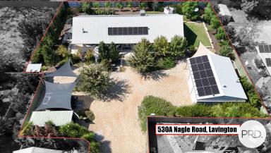 House For Sale - NSW - Lavington - 2641 - ENVIRONMENTALLY FRIENDLY MASTERPIECE  (Image 2)