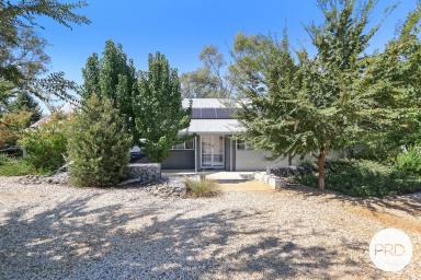 House For Sale - NSW - Lavington - 2641 - ENVIRONMENTALLY FRIENDLY MASTERPIECE (Image 2)