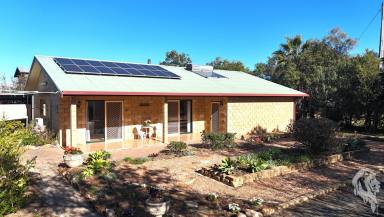 House For Sale - NSW - Narrabri - 2390 - PRIVATE OASIS, WITH STUDIO AND SHED!  (Image 2)