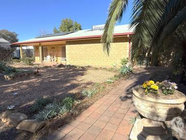 House For Sale - NSW - Narrabri - 2390 - PRIVATE OASIS, WITH STUDIO AND SHED!  (Image 2)