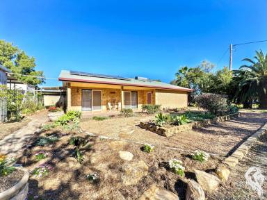 House For Sale - NSW - Narrabri - 2390 - PRIVATE OASIS, WITH STUDIO AND SHED!  (Image 2)