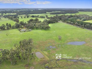 Lifestyle For Sale - WA - Rosa Brook - 6285 - BOUTIQUE RURAL PROPERTY IN MARGARET RIVER  (Image 2)