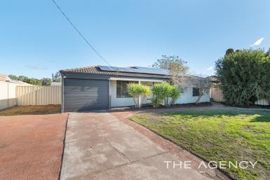 House For Sale - WA - Gosnells - 6110 - Modern | Large Block | Powered Workshop | Park Views  (Image 2)
