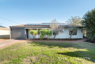 House For Sale - WA - Gosnells - 6110 - Modern | Large Block | Powered Workshop | Park Views  (Image 2)