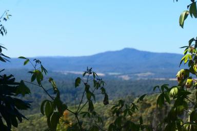 Lifestyle For Sale - NSW - Ewingar - 2469 - ARTISTS CAMP  (Image 2)