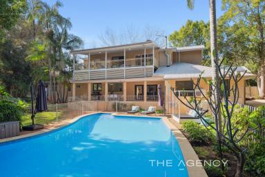 House For Sale - WA - Kalamunda - 6076 - Impressive & Imposing Secluded Sanctuary  (Image 2)