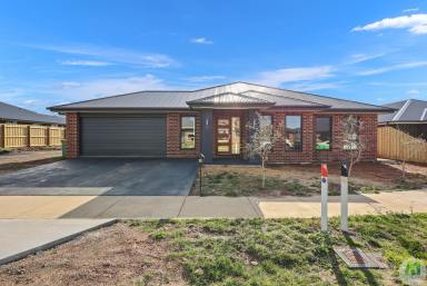House For Sale - VIC - Portland - 3305 - Stunning Brand New 5 Bedroom Home – Built for Modern Family Living  (Image 2)