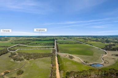 Lifestyle For Sale - VIC - Freshwater Creek - 3217 - Exclusive Location - Gateway to the Surf Coast  (Image 2)