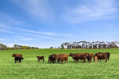 Lifestyle For Sale - VIC - Freshwater Creek - 3217 - Exclusive Location - Gateway to the Surf Coast  (Image 2)