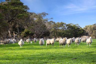 Lifestyle For Sale - VIC - Freshwater Creek - 3217 - Exclusive Location - Gateway to the Surf Coast  (Image 2)