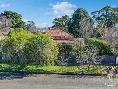 House For Sale - NSW - Moss Vale - 2577 - The Cutest Of Cottages  (Image 2)
