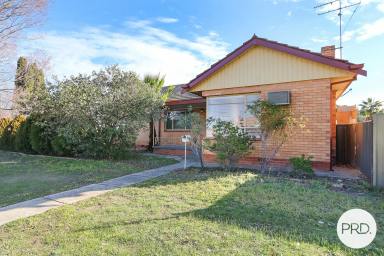House For Lease - NSW - North Albury - 2640 - CHARMING AND COMFORTABLE HOME!  (Image 2)