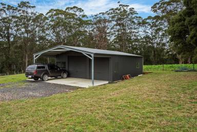 House For Sale - TAS - Irishtown - 7330 - Spacious 4.43Acre Block with 4 Bedroom Mud Brick Home  (Image 2)