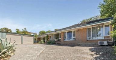 House For Lease - WA - Scarborough - 6019 - Large 4x2 in scarborough  (Image 2)