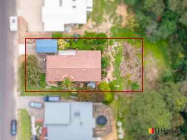House For Sale - NSW - Nelligen - 2536 - EMBRACE THE VILLAGE AMBIENCE  (Image 2)