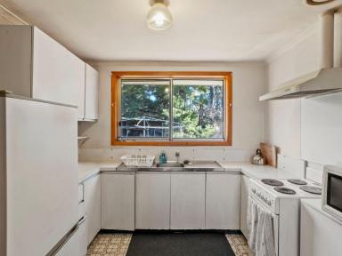House For Sale - TAS - Abbotsham - 7315 - 3-Bedroom Home on Approx. 1 Acre  (Image 2)