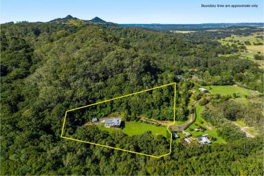 Acreage/Semi-rural For Sale - NSW - Main Arm - 2482 - A Modern Hinterland Sanctuary  (Image 2)