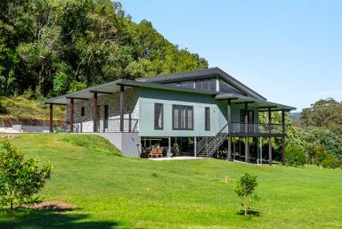 Acreage/Semi-rural For Sale - NSW - Main Arm - 2482 - A Modern Hinterland Sanctuary  (Image 2)