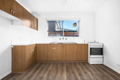 Apartment For Lease - VIC - Cheltenham - 3192 - SPACIOUS | FRESHLY PAINTED | GREAT LOCATION  (Image 2)