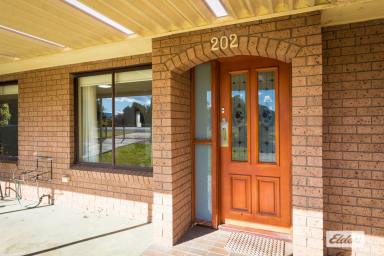 House For Sale - NSW - Bega - 2550 - Full Of Surprises  (Image 2)