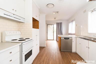 House For Lease - NSW - Mount Austin - 2650 - SPACIOUS 4 BEDROOM HOME IN MOUNT AUSTIN  (Image 2)