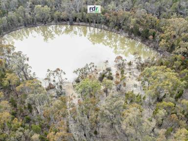 Lifestyle For Sale - NSW - Inverell - 2360 - NATURE BECKONS  (Image 2)