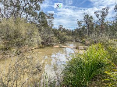 Lifestyle For Sale - NSW - Inverell - 2360 - NATURE BECKONS  (Image 2)