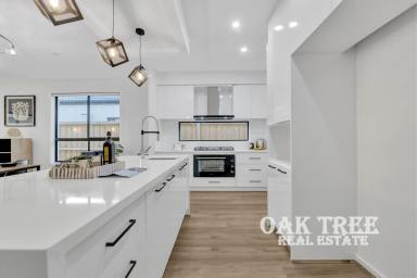 House For Sale - VIC - Manor Lakes - 3024 - Sophisticated Family Living in a Prime Location!!!  (Image 2)