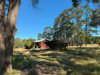 Lifestyle For Sale - QLD - Cottonvale - 4375 - Ideal hobby farm  (Image 2)