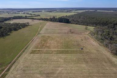 Mixed Farming For Sale - VIC - Greenwald - 3304 - Outstanding Productivity, Water Security & Reliable Rainfall  (Image 2)