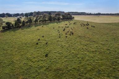 Mixed Farming For Sale - VIC - Greenwald - 3304 - Outstanding Productivity, Water Security & Reliable Rainfall  (Image 2)