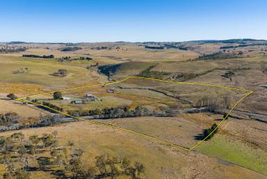 Lifestyle Auction - NSW - Crookwell - 2583 - Practical, Peaceful and Packed with Potential  (Image 2)