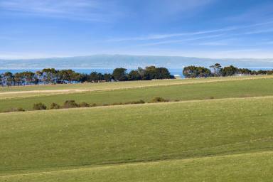 Lifestyle For Sale - VIC - Drysdale - 3222 - Undulating Acreage Offering Spectacular Bay Views  (Image 2)
