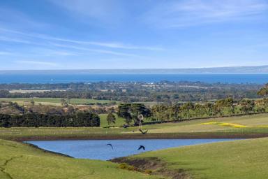 Lifestyle For Sale - VIC - Drysdale - 3222 - Undulating Acreage Offering Spectacular Bay Views  (Image 2)