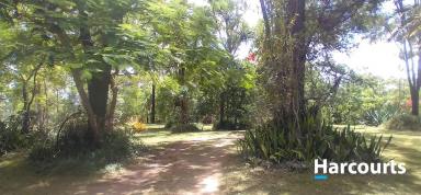 Lifestyle For Sale - QLD - Booyal - 4671 - TRANQUIL LIVING ON NEARLY 5 ACRES  (Image 2)