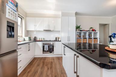 Unit For Lease - VIC - Hamilton - 3300 - Contemporary two bedroom unit  (Image 2)